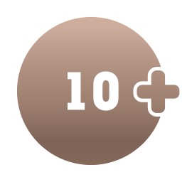 10 oder mehr Unterseiten Icon