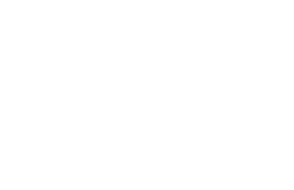 Schlichter-Media Logo Weiß